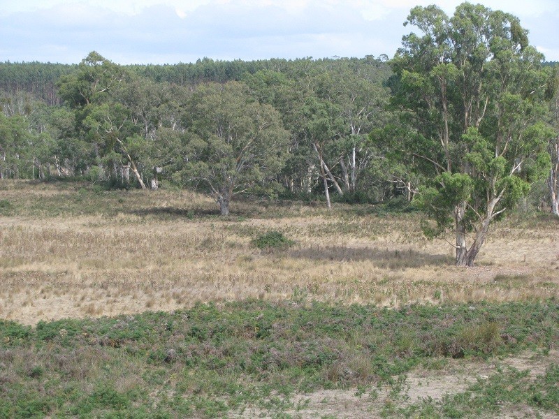 Lot 6 Grubbed Road Myaring, Strathdownie VIC 3312