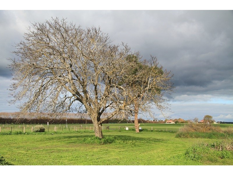 31 Lange Road, Yahl SA 5291