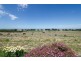 2002 Glenelg River Road, Wye SA 5291