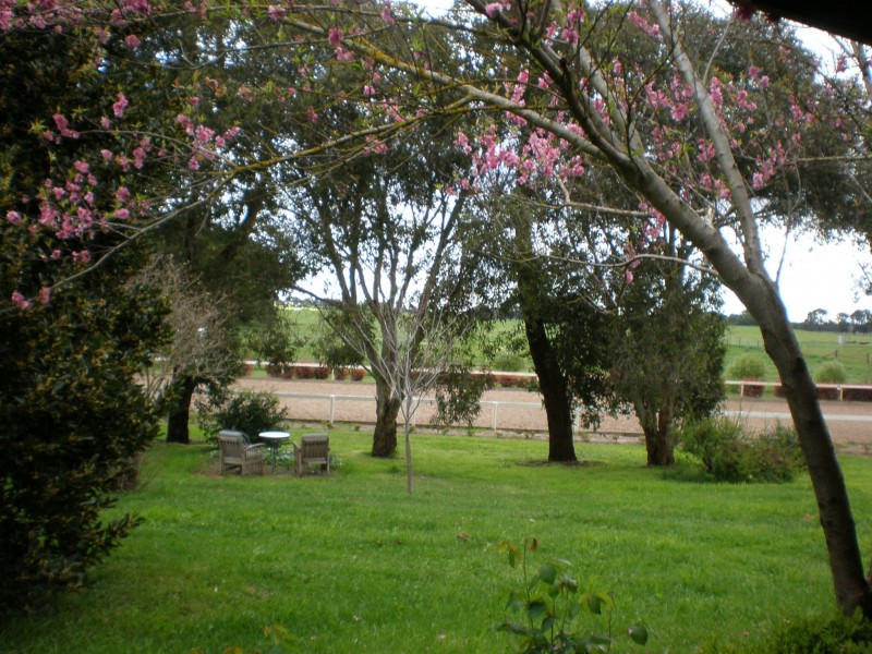 215 Peweena Road, Mil Lel SA 5291