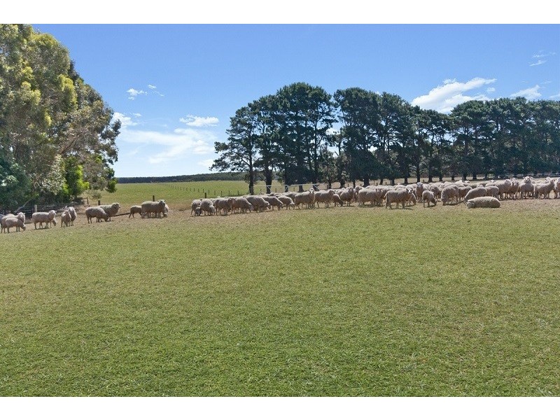 730 Morven Road, Branxholme VIC 3302