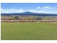 730 Morven Road, Branxholme VIC 3302