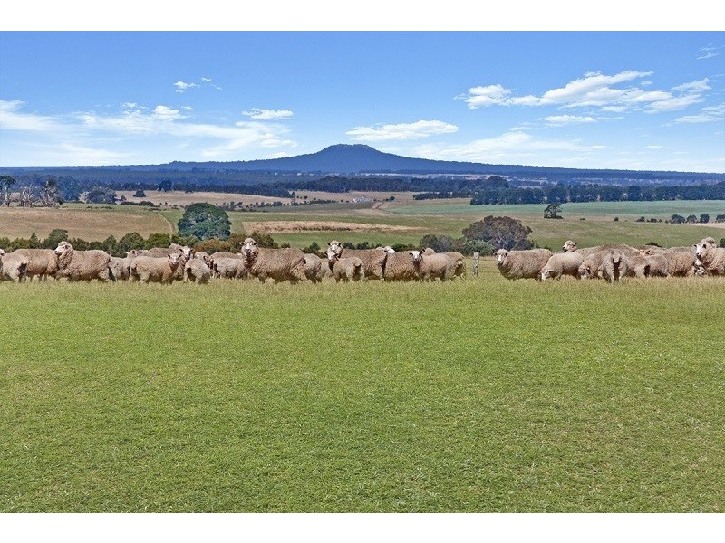 730 Morven Road, Branxholme VIC 3302