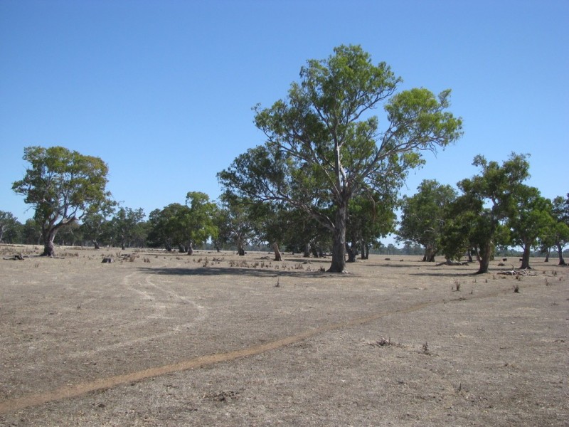 8 Nangwarry Road, Lake Mundi VIC 3312