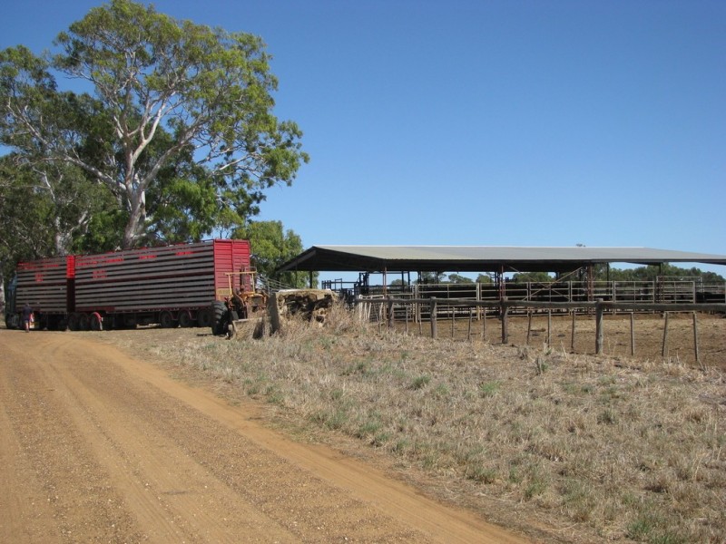 8 Nangwarry Road, Lake Mundi VIC 3312