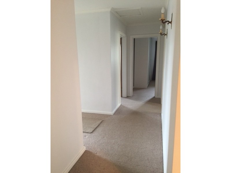 37 Davison Street, Mount Gambier SA 5290