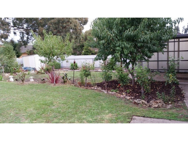 8 Illawong Drive, Mount Gambier SA 5290