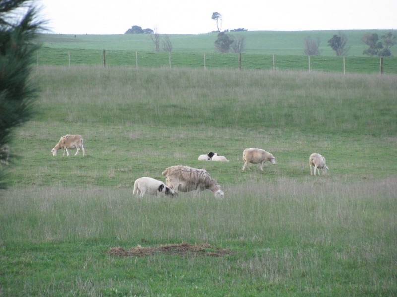 Lot 436 Hollis Road, Compton SA 5291