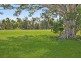 323 Piggabeen Road, Cobaki Lakes NSW 2486