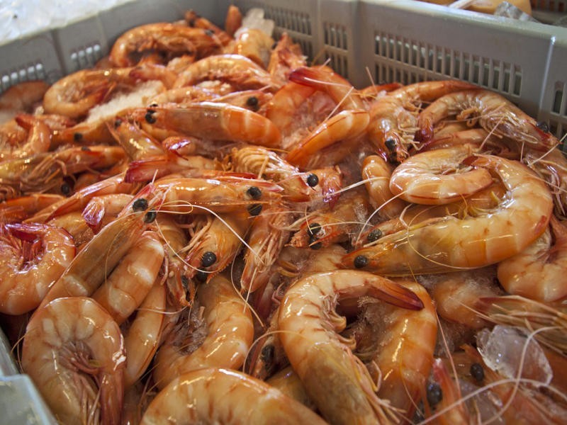 Lot 328 Old Pacific Highway, Brunswick Heads NSW 2483