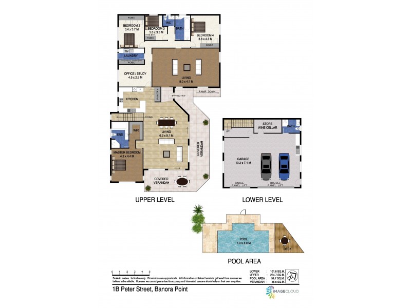 1B Peter Street, Banora Point NSW 2486 Floorplan