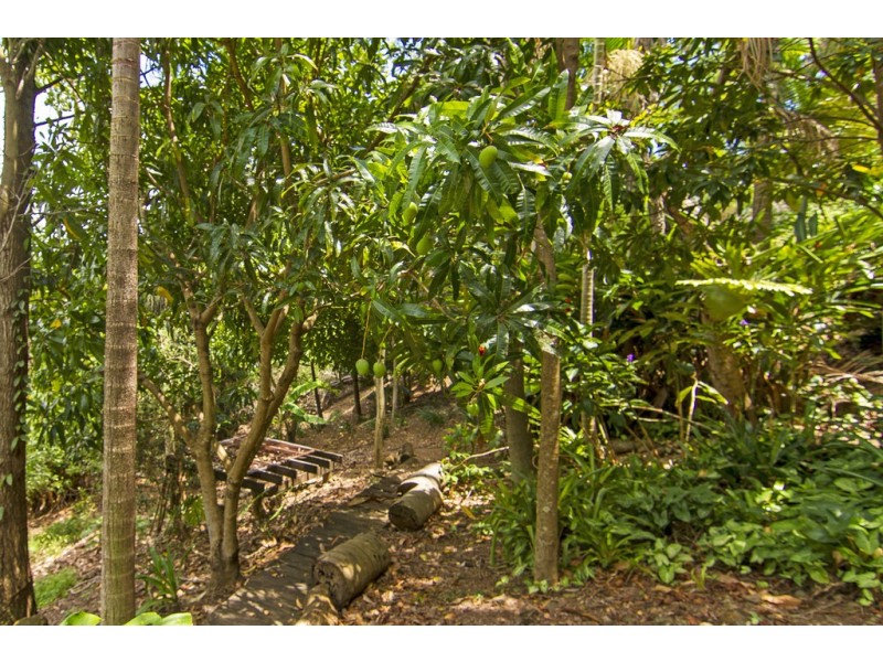 42 Leeward Terrace, Tweed Heads NSW 2485