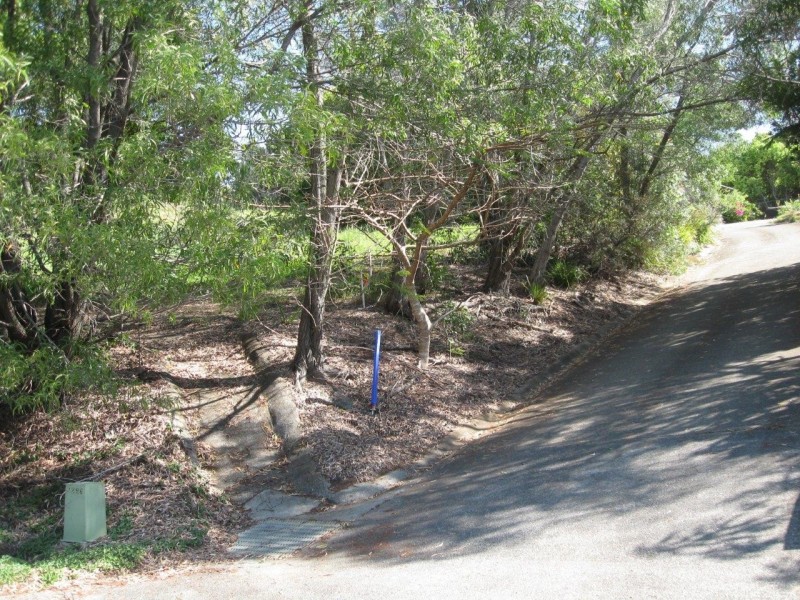 10 Camphor Laurel Road, Cobaki NSW 2486