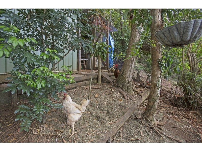 20 Inlet Drive, Tweed Heads West NSW 2485