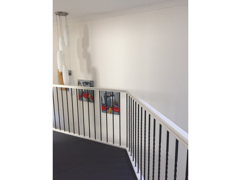 11 Gallinulia Place, Glenmore Park NSW 2745