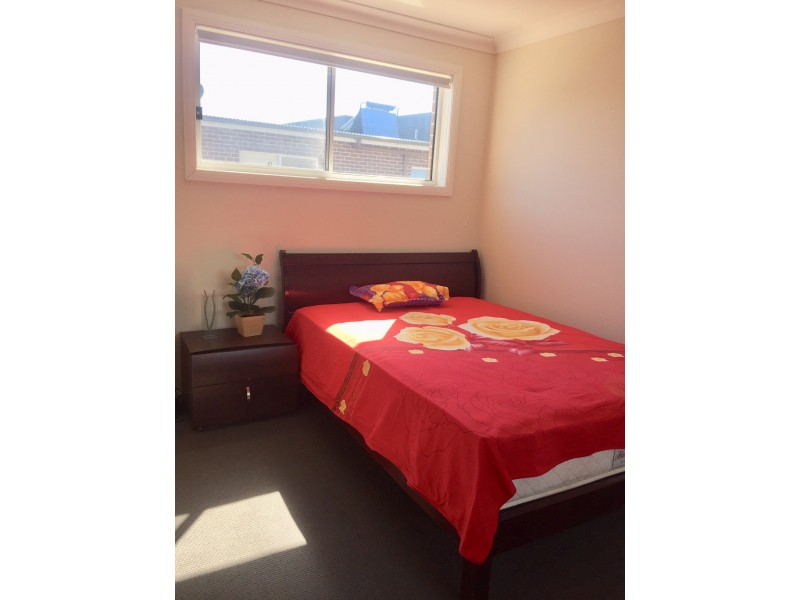 11 Gallinulia Place, Glenmore Park NSW 2745