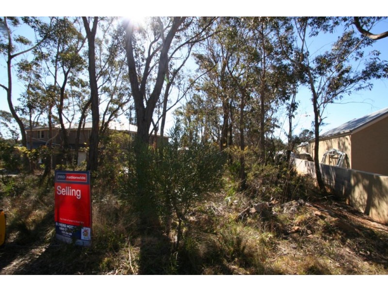 Wentworth Falls NSW 2782