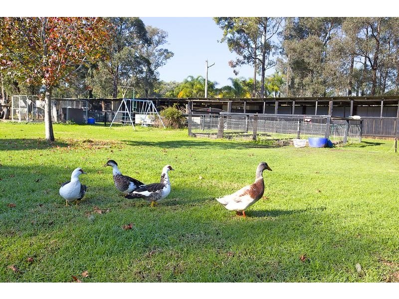 15 Tadmore Road, Cranebrook NSW 2749