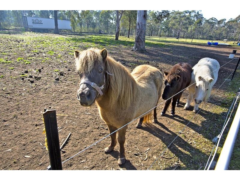 15 Tadmore Road, Cranebrook NSW 2749