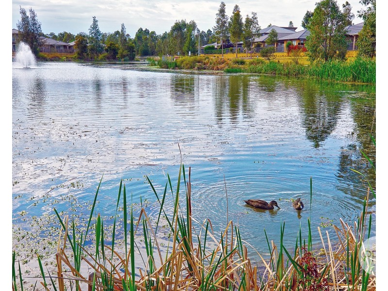 12 Waterside Blvd, Cranebrook NSW 2749