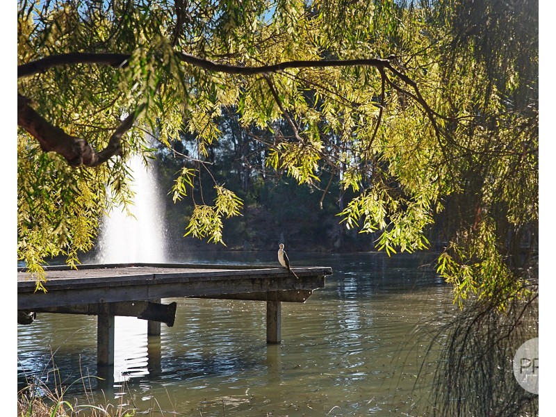 12 Waterside Blvd, Cranebrook NSW 2749