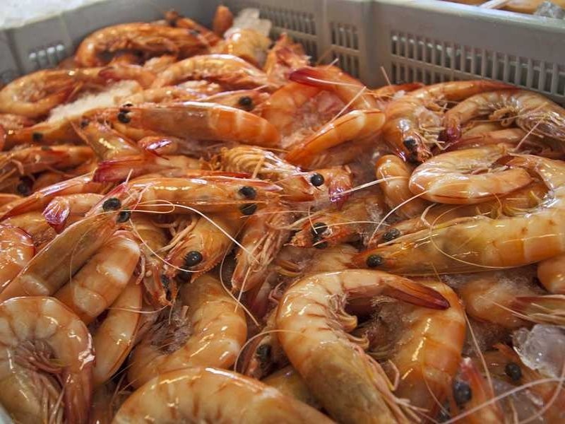 Lot 328 Pacific Highway, Brunswick Heads NSW 2483