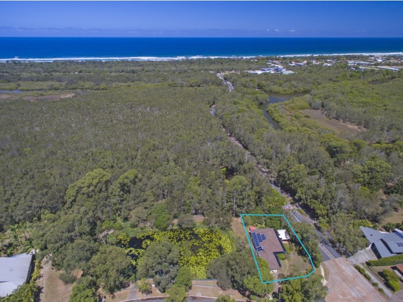 41 Muskheart Circuit, Pottsville NSW 2489