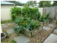 3 Bandicoot Dr, Pottsville Beach NSW 2489