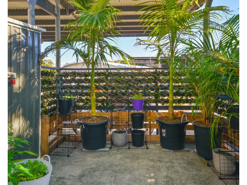 15/3 Cedarwood Court, Casuarina NSW 2487