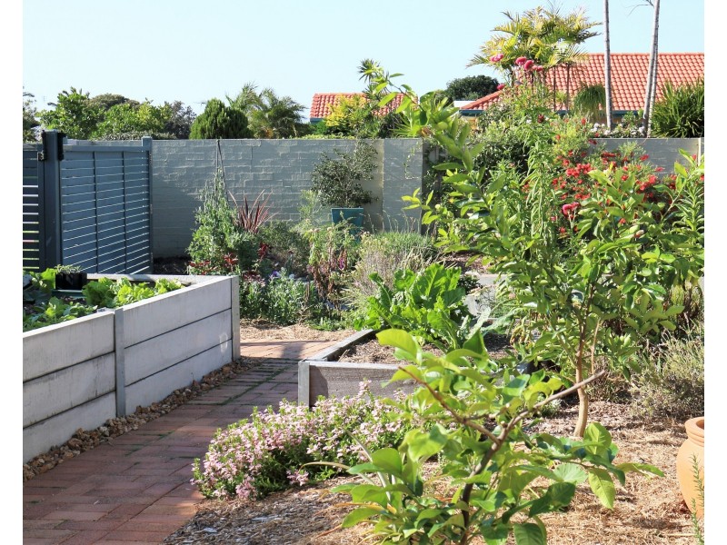 87 Overall Drive, Pottsville NSW 2489