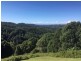 0 Trees Road, Tallebudgera QLD 4228