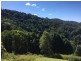 0 Trees Road, Tallebudgera QLD 4228