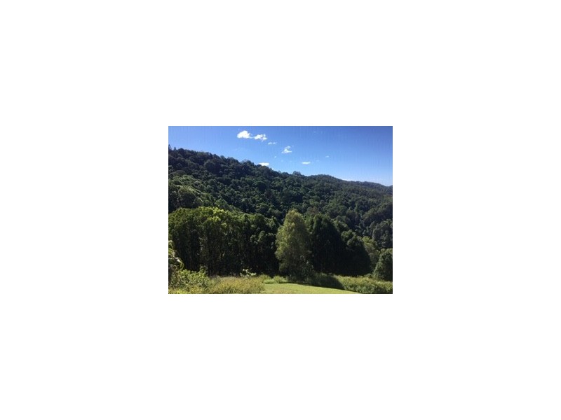 0 Trees Road, Tallebudgera QLD 4228