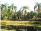 Park Ridge QLD 4125