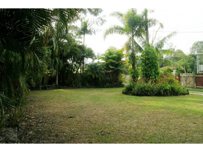 55 Bluegum Drive, Marsden QLD 4132