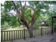 Buccan QLD 4207