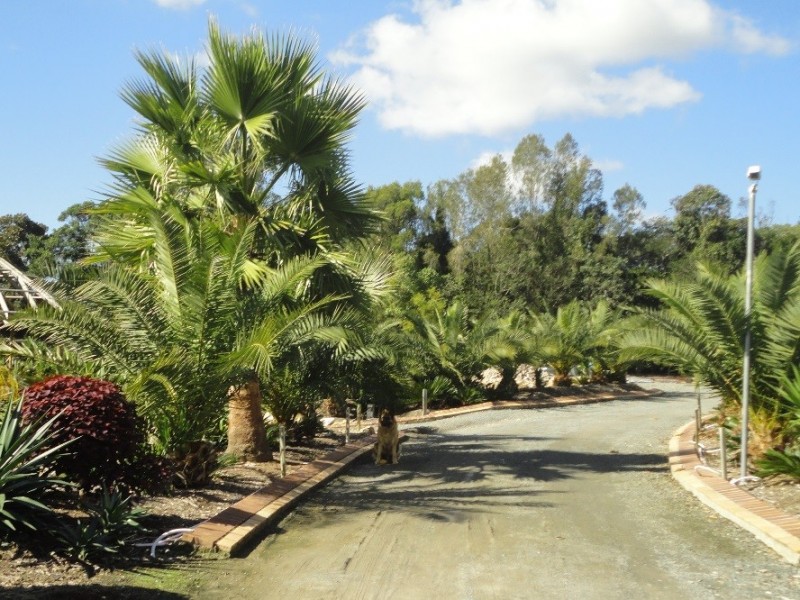 90 Henderson Street, Logan Reserve QLD 4133