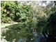 201 Park Ridge Road, Park Ridge QLD 4125
