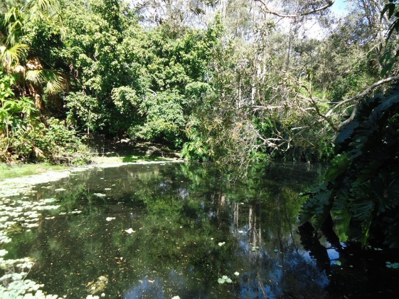 201 Park Ridge Road, Park Ridge QLD 4125