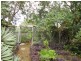 19 Spruce Street, Loganlea QLD 4131