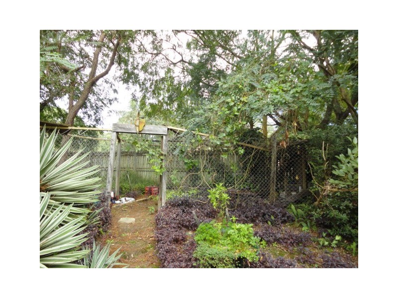 19 Spruce Street, Loganlea QLD 4131