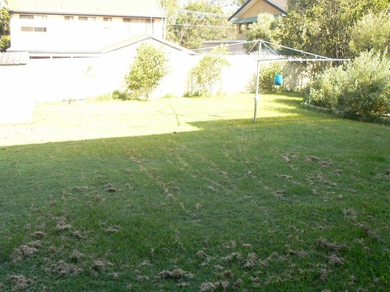 13 Cranford Street, Birkdale QLD 4159