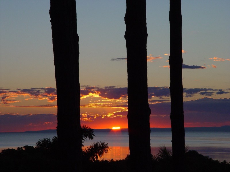 233 Main Road, Wellington Point QLD 4160