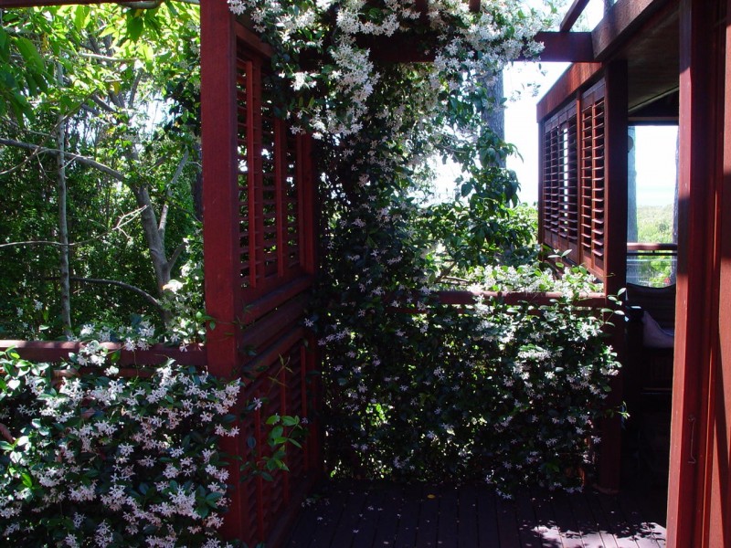 233 Main Road, Wellington Point QLD 4160