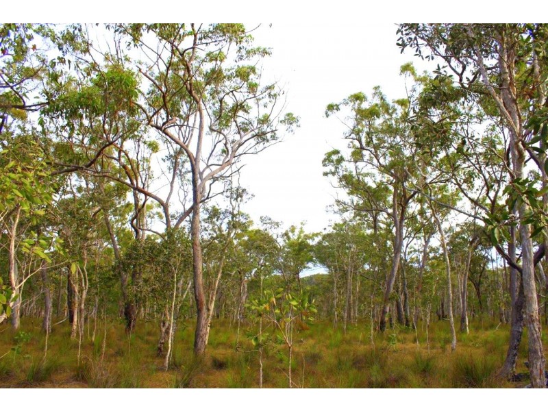 Agnes Water QLD 4677