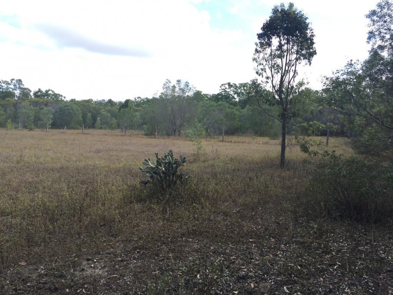 1416 Lowmead Road, Colosseum QLD 4677