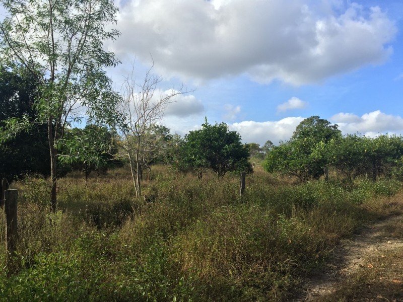 1416 Lowmead Road, Colosseum QLD 4677