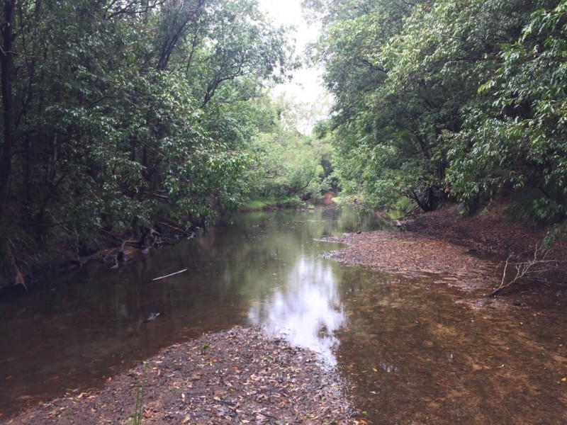 Lot 2 Lowmead Road, Lowmead QLD 4676