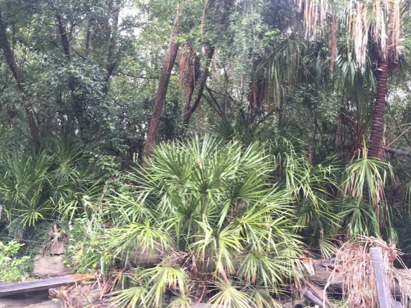 Lot 2 Lowmead Road, Lowmead QLD 4676