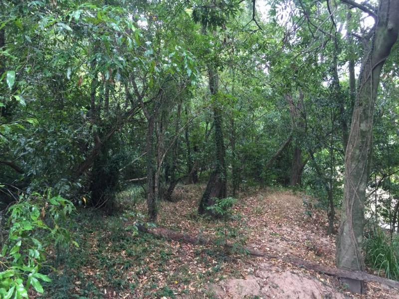 Lot 2 Lowmead Road, Lowmead QLD 4676